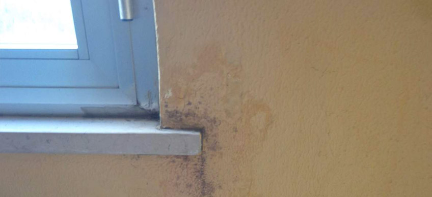 Come eliminare definitivamente la muffa da muri e mobili Condensa e muffa